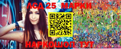гидропоника Краснознаменск