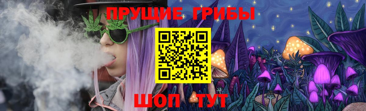Псилоцибиновые грибы GOLDEN TEACHER Фролово