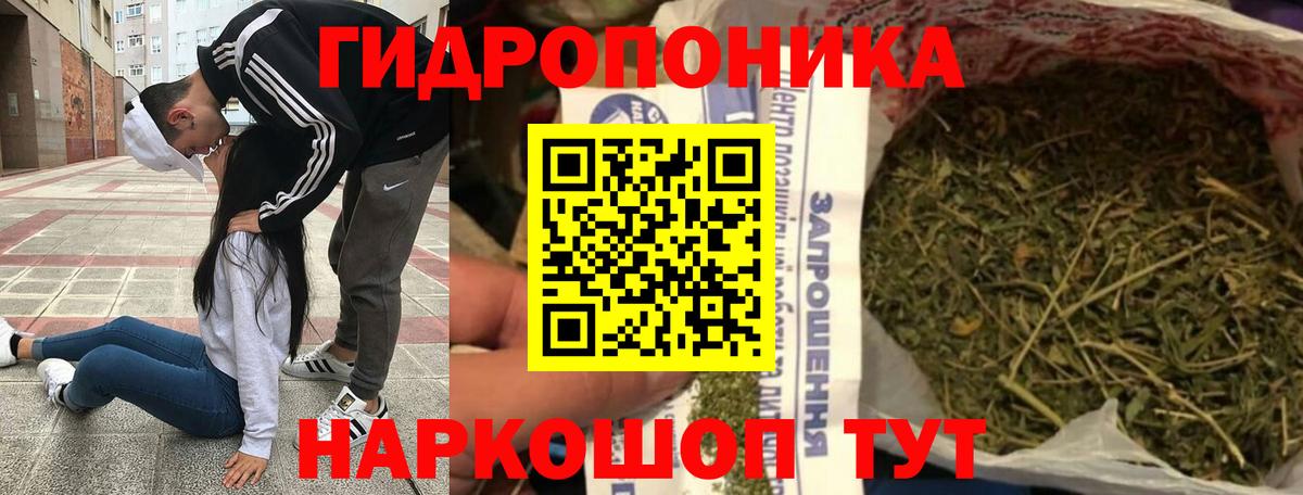 Фролово  Конопля LSD WEED  Канабис ГИДРОПОН  Бошки Шишки LSD WEED  Марихуана план  Вход с VPN 